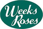 Weeks Roses